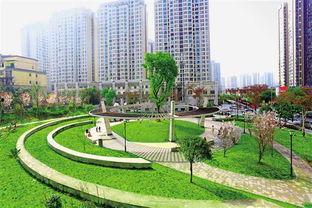 渝北泽科港城最新爆料,揭秘神秘项目背后的惊人真相  第3张