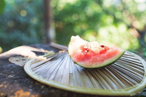 吃瓜君免费吃瓜入口,畅享瓜界盛宴! 第1张 吃瓜君免费吃瓜入口,畅享瓜界盛宴! 第1张